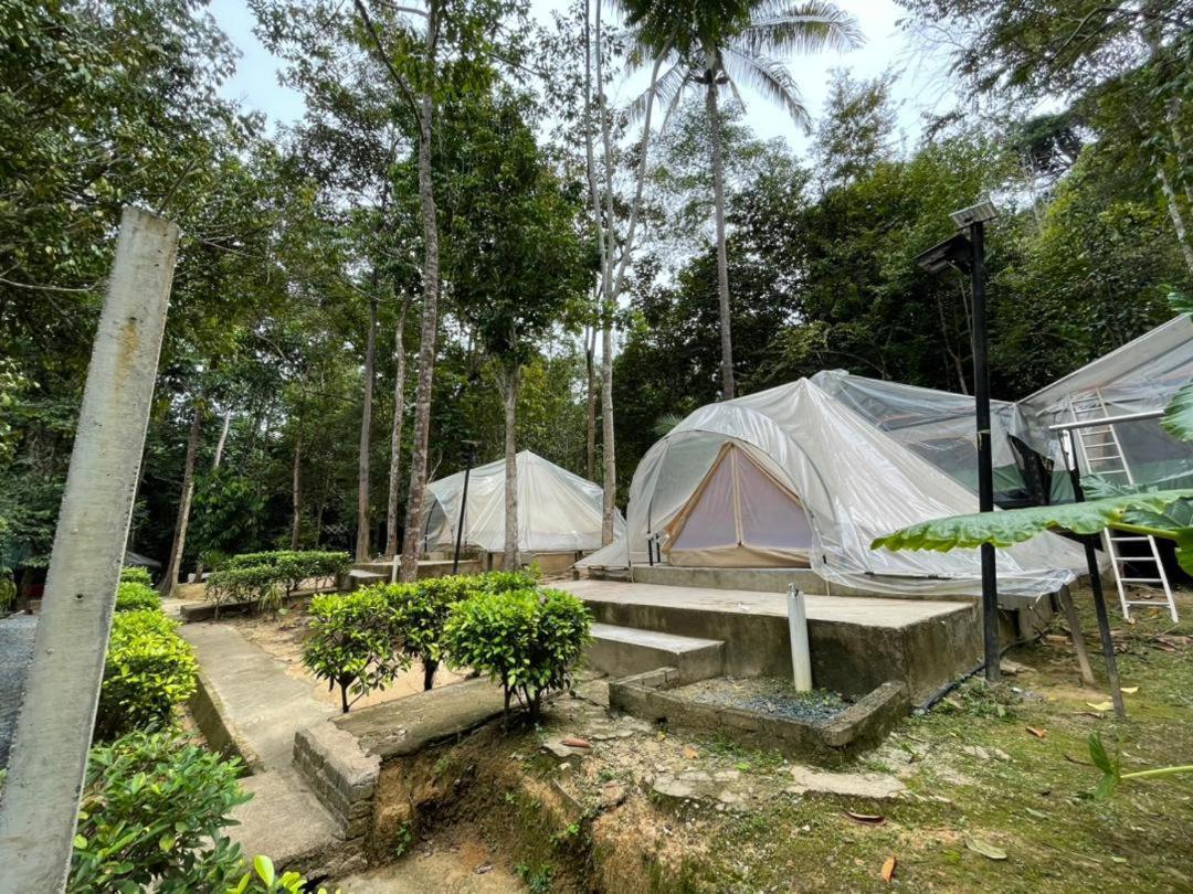 Danz Eco Resort Kuala Tahan Exterior photo